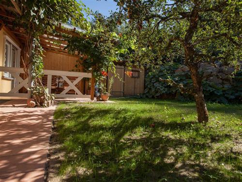 Ferieleilighet - 5 personer -  - Hinterdorfstraße - 77955 - Ettenheim