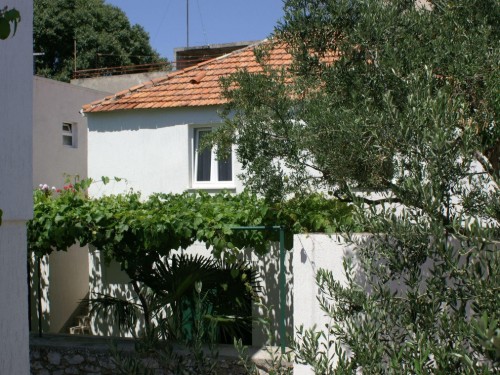 Holiday apartment - 4 persons -  - Ante Španje - 22211 - Vodice