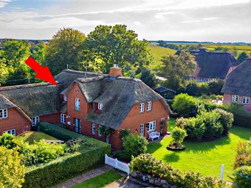 Ferielejlighed - 3 personer -  - Dörpstrat - 25938 - Oevenum