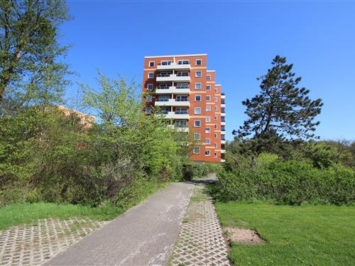 Ferielejlighed - 3 personer -  - 25826 - St. Peter-Ording