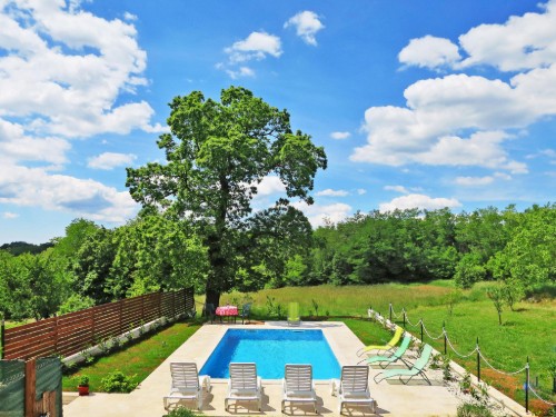 Ferienhaus - 8 Personen -  - 52332 - Pican