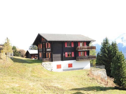Holiday apartment - 6 persons -  - 3983 - Riederalp