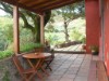 Bilde 11