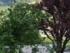Image 18 - Outside