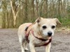 Bild 23 - Ude