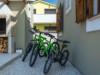 Bilde 10