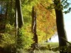 Bild 14