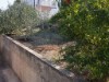 Bilde 9