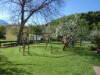 Bilde 5