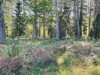 Bild 8 - Ude