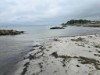 Bild 40 - Blick über's Wasser