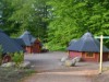 Bild 15