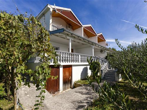 Holiday apartment - 30 persons -  - Stojici - 23248 - Ljubac