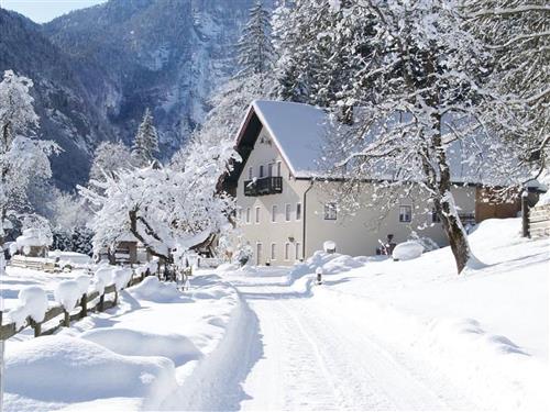 Bondegård - 5 personer -  - Bluntaustraße - 5440 - Golling An Der Salzach