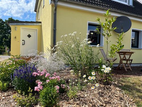Holiday apartment - 2 persons -  - Lischow - 23974 - Neuburg