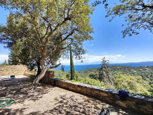 Bungalow - 7 Personen -  - F-83230 - Bormes-Les -Mimosas