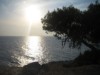 Bilde 21