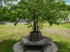 Image 25