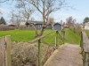 Billede 23 - Grund