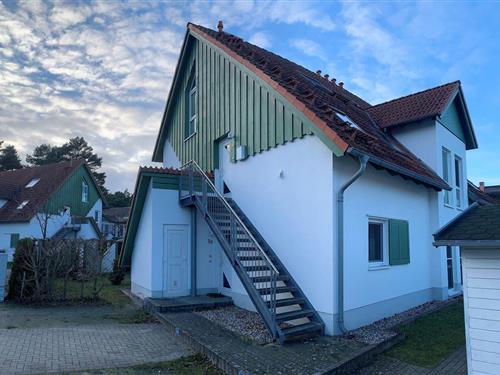 Ferienhaus - 3 Personen -  - Sanddornweg - 17449 - Karlshagen