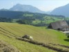 Bild 19