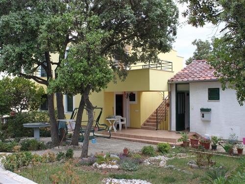 Holiday Home/Apartment - 6 persons -  - Petrcane - 23231 - Petrcane