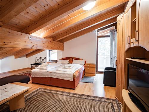 Ferielejlighed - 2 personer -  - Haunig - 6306 - Söll