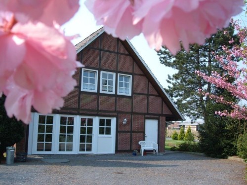 Holiday apartment - 2 persons -  - Hinterbrack - 21635 - Jork