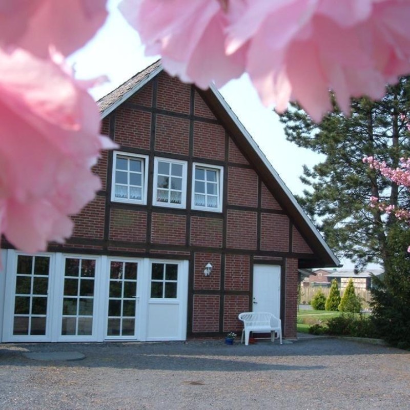 Ferielejlighed - 2 personer -  - Hinterbrack - 21635 - Jork
