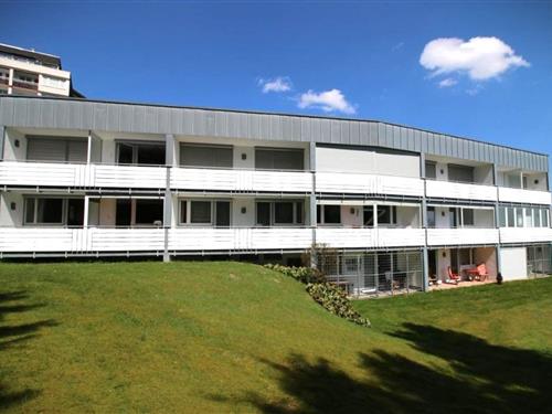 Semesterhus/Semesterlägenhet - 2 personer -  - Weltringpark - 59955 - Winterberg