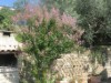 Bilde 34