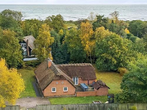 Ferienhaus - 12 Personen -  - Bøtøvej - Marielyst - 4873 - Väggerlöse