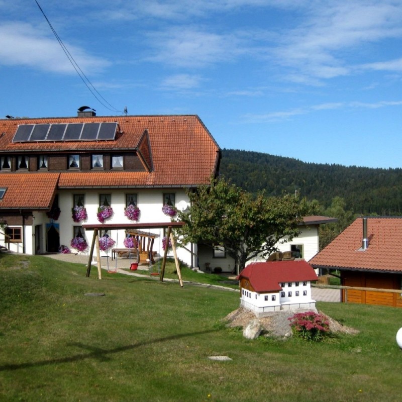 Ferielejlighed - 4 personer -  - Schmiedebachstraße - 79875 - Dachsberg (Südschwarzwald)