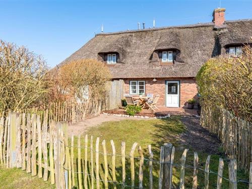 Fritidshus - 3 personer -  - 25938 - Wyk Boldixum