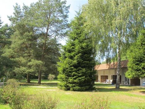 Bungalow - 2 personer -  - 17213 - Fünfseen Ot Lenz