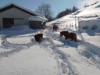 Billede 18 - Ude