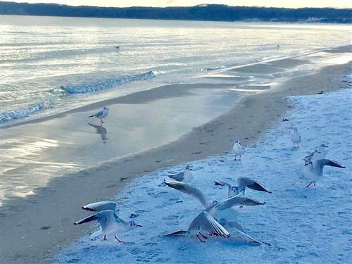 Ferieleilighet - 4 personer -  - Südstrand - 18609 - Binz (Ostseebad) Ot Prora