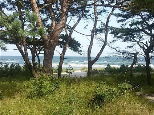 Ferielejlighed - 4 personer -  - Südstrand - 18609 - Binz / Prora