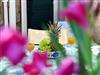 Image 96 - Outside