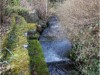 Bilde 4
