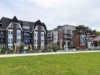 Billede 38