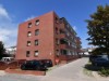 Billede 19