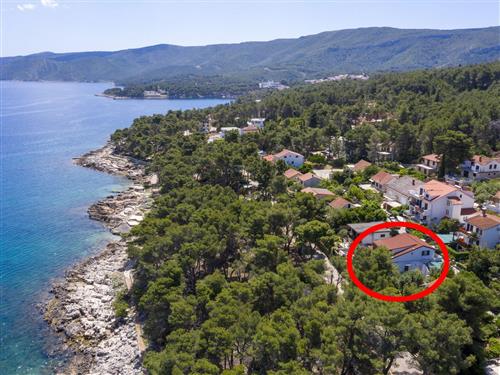 Ferielejlighed - 4 personer -  - Jelsa - 21465 - Jelsa