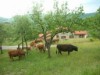 Bild 31 - Aussen