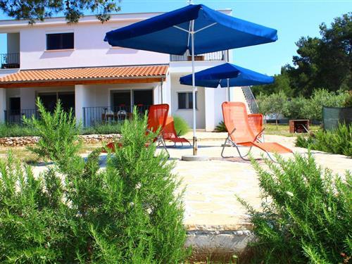 Ferielejlighed - 5 personer -  - 23287 - Veli Rat-Verunic Dugi Oto