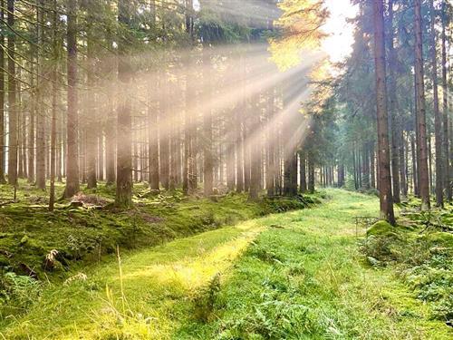 Ferielejlighed - 6 personer -  - Hauptstraße - 95179 - Geroldsgrün