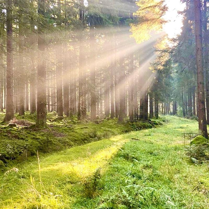 Ferielejlighed - 6 personer -  - Hauptstraße - 95179 - Geroldsgrün