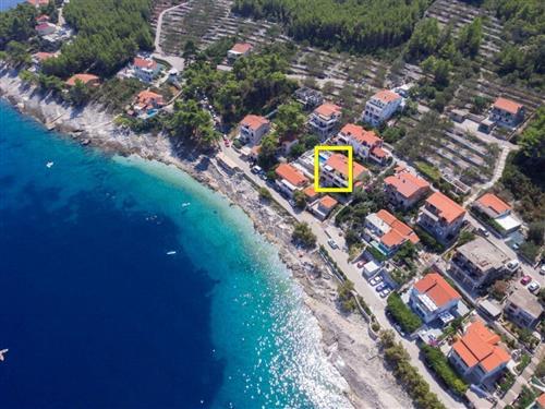 Holiday apartment - 5 persons -  - Prigradica - 20271 - Blato