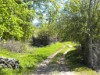 Bild 41