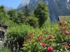 Bild 17